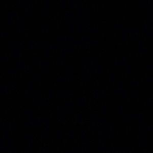 Meet your Posher, Shelby